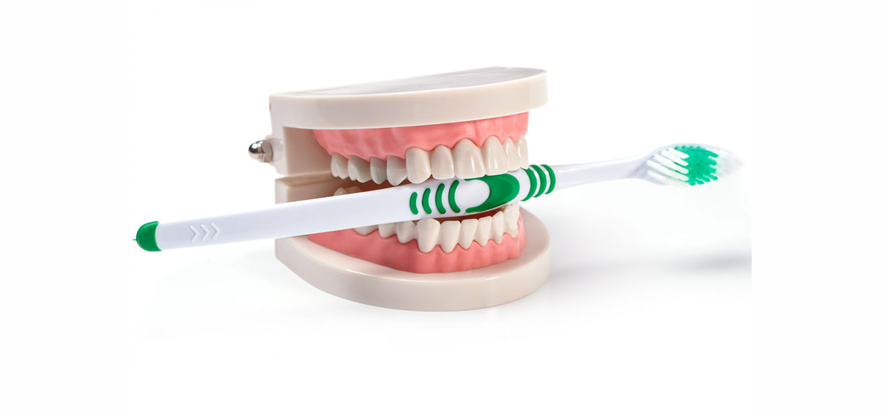 Como Escovar Os Dentes Corretamente Mc Odontologia